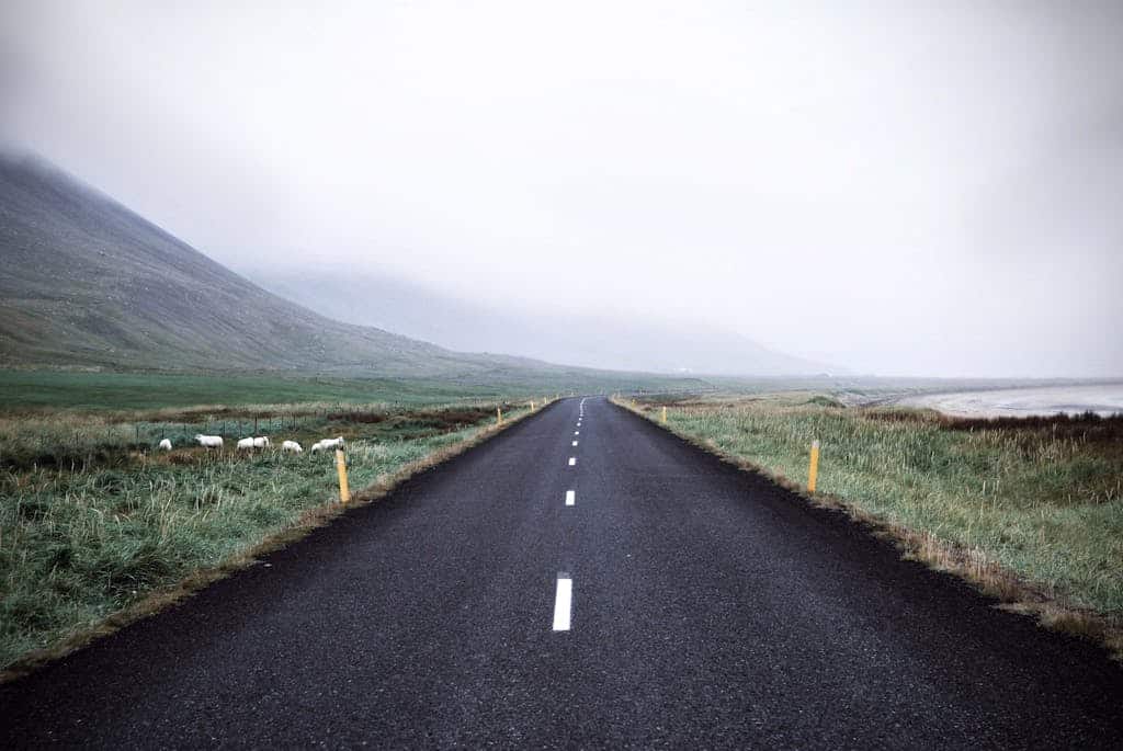 A misty road in rural Iceland offers a breathtaking view with its lush grass and mountains.